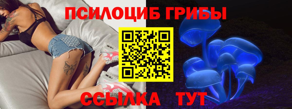 Лабинск  Галлюциногенные грибы мицелий  Вход с VPN 